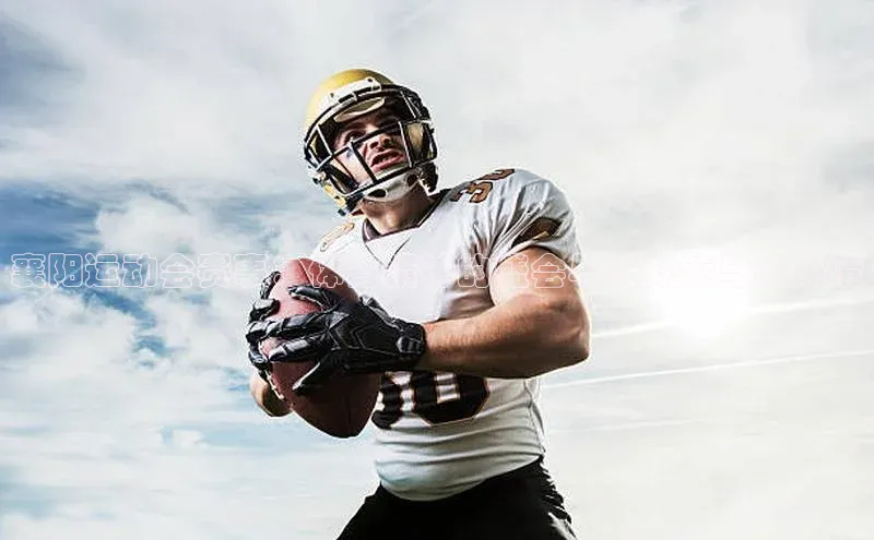 新宝gg娱乐 天下秀襄阳运动会赛事：体育精神的盛会与群众参与的热情