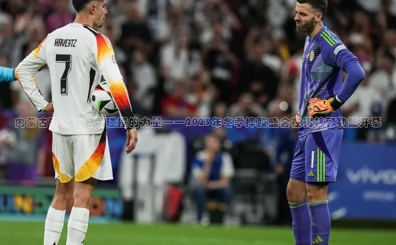 内蒙古呼市：激情碰撞的力量——2023年冬季摔跤盛会在锡林郭勒盟开幕