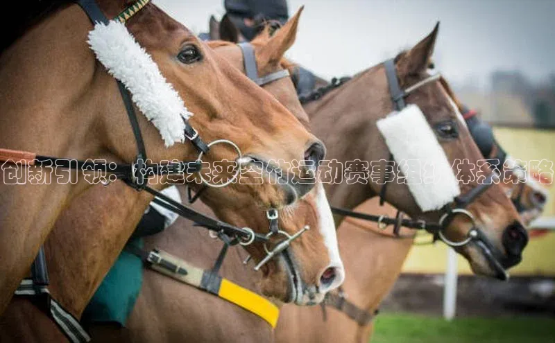 创新引领：构建未来空竹运动赛事组织体系策略