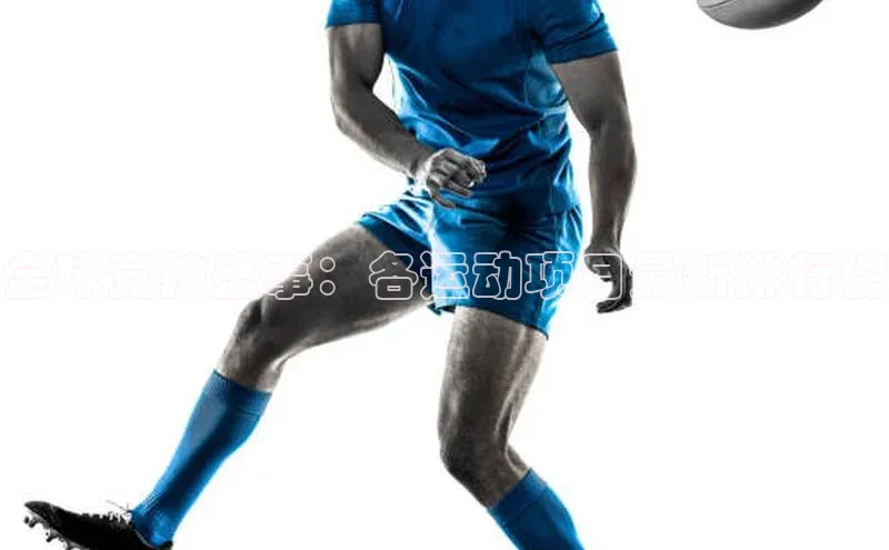 全球竞技盛事：各运动项目最新排行榜