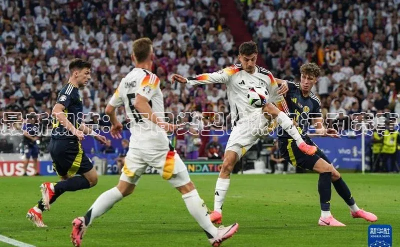 最新潮流：不同类型的热门运动赛事