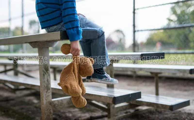 飞跃赛场：2023年度国际体育盛事概览与分析