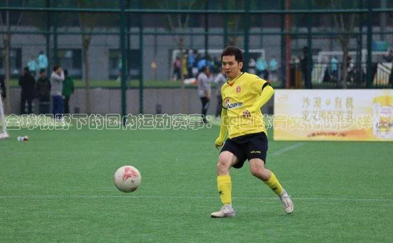 全球视野下的国内运动赛事：中国体育文化的多样性