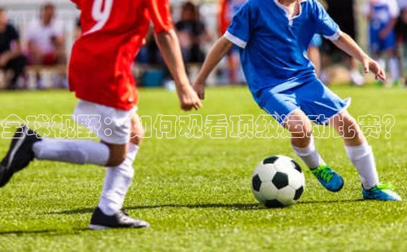 全球视野：如何观看顶级运动比赛？
