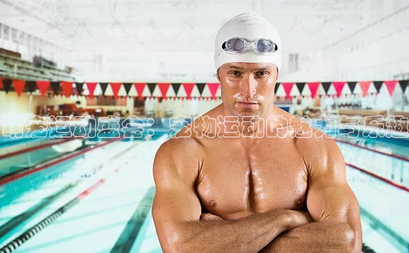 萌宠运动盛会：宠物运动的魅力与乐趣