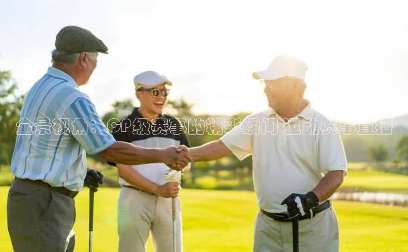 全景视角：CP级赛事的精彩瞬间-运动赛事直播