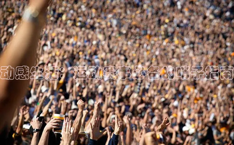 动感生活：运动赛事必备的哨子指南