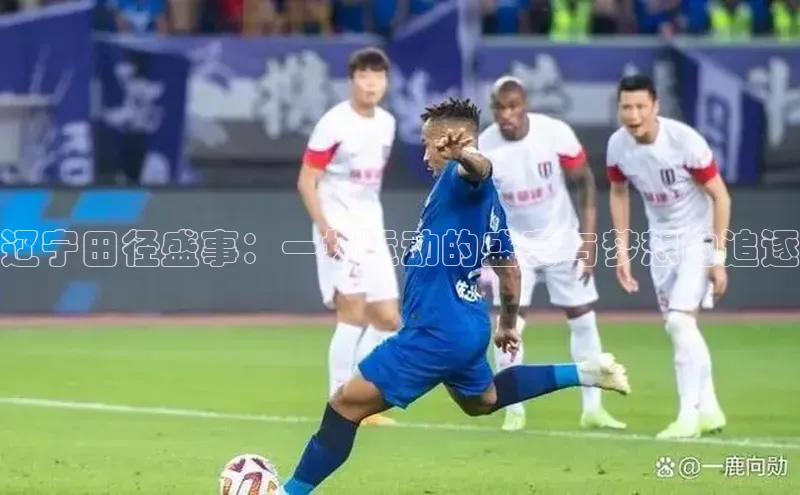 辽宁田径盛事：一场运动的盛宴与梦想的追逐