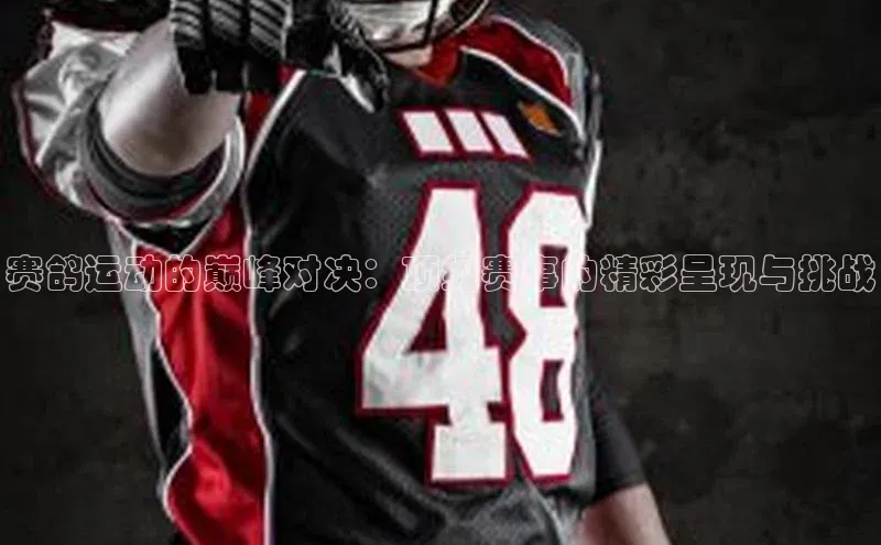 新宝gg注册登录入口