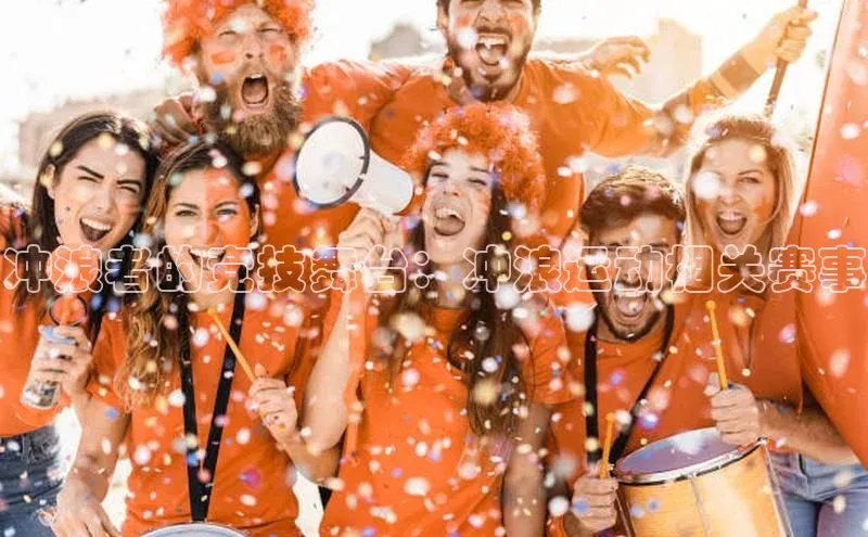 新宝网站登录入口