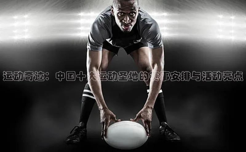 新宝网站登录入口