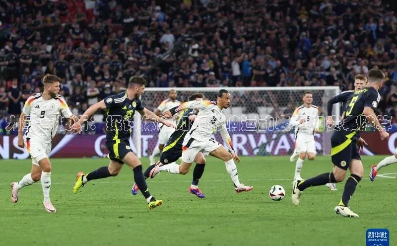 新宝网站登录入口