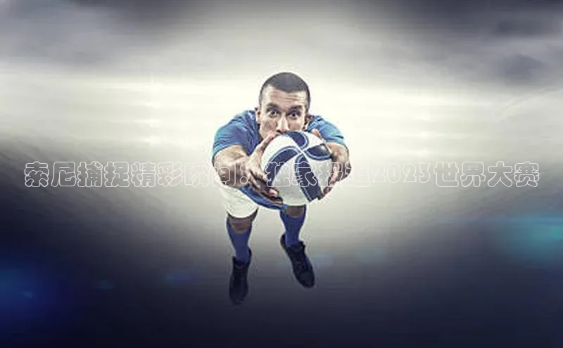 新宝gg平台注册