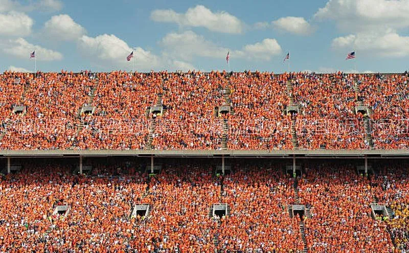 新宝网站登录入口