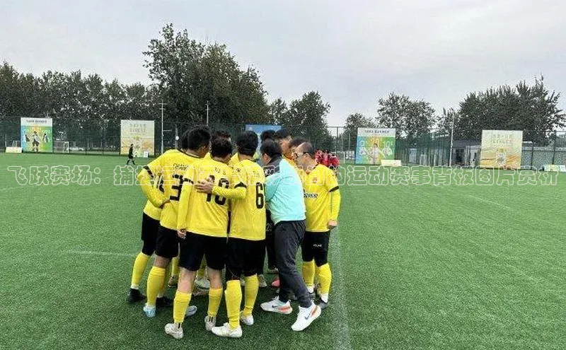 新宝gg开户登录