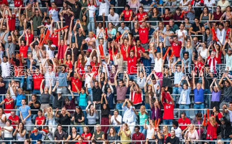 新宝登录app入口手机版