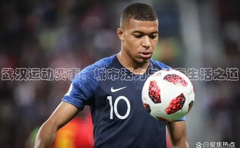 新宝登录app入口手机版