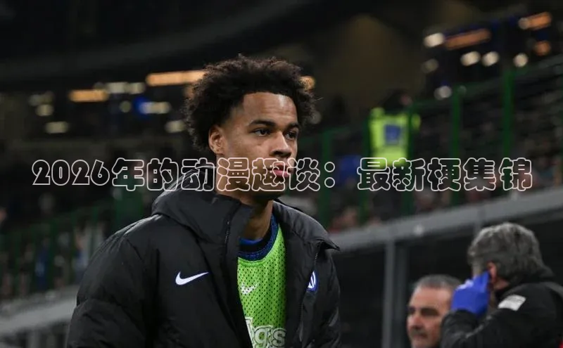 2026年的动漫趣谈：最新梗集锦